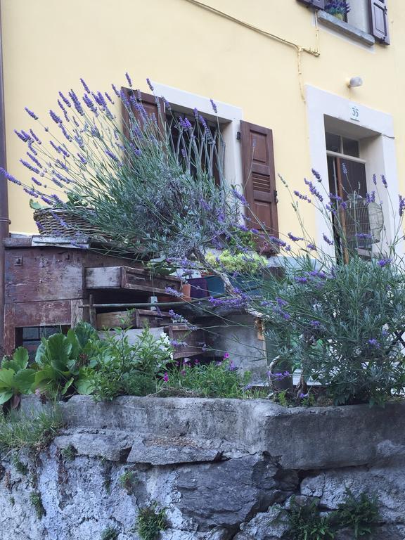 B&B Valle Spluga Il Pertugio Chiavenna Dış mekan fotoğraf